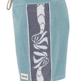 Phantom Naturals Blocked Session Boardshort 16"