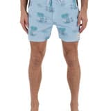 Phantom Naturals Blocked Session Boardshort 16"