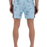 Phantom Naturals Blocked Session Boardshort 16"