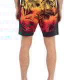 Phantom Eco Curves 17"