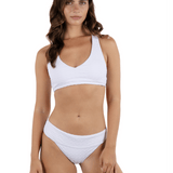 Amphora Banded Hipster Moderate Bikini Bottom