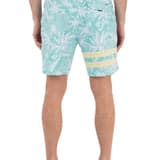 Phantom Eco Block Party 18"