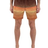 Cannonball Volley Boardshort 17"
