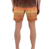 Cannonball Volley Boardshort 17"