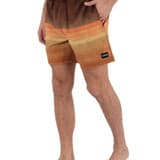 Cannonball Volley Boardshort 17"