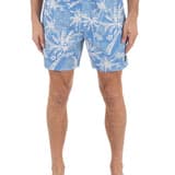 Cannonball Volley Boardshort 17"