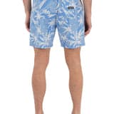 Cannonball Volley Boardshort 17"