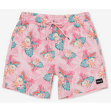 Cannonball Volley Boardshort 17"