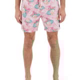 Cannonball Volley Boardshort 17"