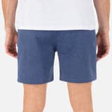 Phantom Heather Walkshort 18"