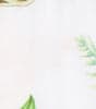 White Swatch