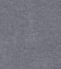 Ion Grey Swatch