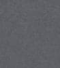 Ion Grey Swatch