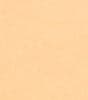 Caramel Cream Swatch