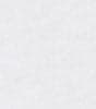 White Swatch