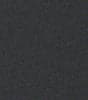 Black Swatch
