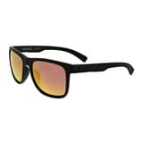 New Schoolers Wayfarer Sunglasses