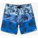 Phantom Fuse Boardshort 18"