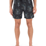 Cannonball Volley 17" Boardshort