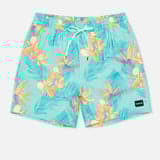 Tropical Mist 2