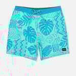 Tropical Mist