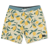 Phantom Eco Classic 18"