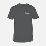 Ion Grey 2