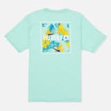 Tropical Mist Heather
