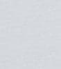 Platinum Swatch