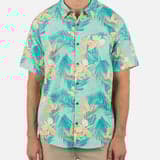 Tropical Mist