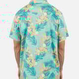 Tropical Mist