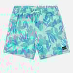 Tropical Mist