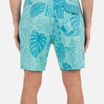 Tropical Mist