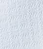 Platinum Swatch
